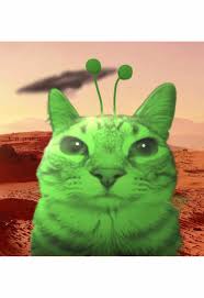 the image contains a silly alien cat